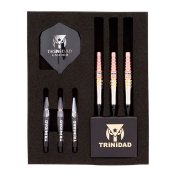 Dardos Trinidad Darts Roman Type6 Miyu Miyawaki 20.5gr 95%  - 5