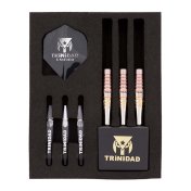 Dardos Trinidad Darts Roman Type6 Miyu Miyawaki 23gr 95%  - 5