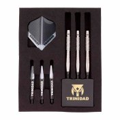 Dardos Trinidad Darts Saldivar Tipo 4 Nakanishi Nagakichi 22.5gr 90%  - 3