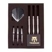 Dardos Trinidad Darts Saldivar Tipo 4 Nakanishi Nagakichi Steel 23.5gr 90%  - 3
