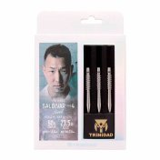 Dardos Trinidad Darts Saldivar Tipo 4 Nakanishi Nagakichi Steel 23.5gr 90%  - 4