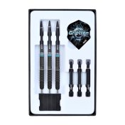 Dardos One80 Griptron GT4 Steeltip 22g 90%  - 6