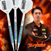 Dardos One80 Terry Tan Signature Dart Softip 18g 90%  - 4