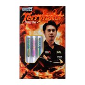 Dardos One80 Terry Tan Signature Dart Softip 18g 90%  - 8