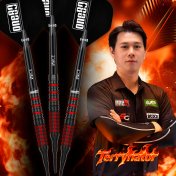 Dardos One80 Terry Tan Signature Dart Softip 20g 90%  - 4