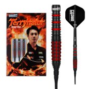 Dardos One80 Terry Tan Signature Dart Softip 20g 90%  - 6