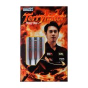 Dardos One80 Terry Tan Signature Dart Softip 20g 90%  - 7