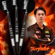 Dardos One80 Terry Tan Signature Dart Softip 22g 90%  - 5