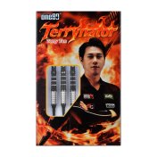 Dardos One80 Terry Tan Signature Dart Softip 22g 90%  - 8