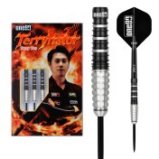 Dardos One80 Terry Tan Signature Dart Steeltip 22.5g 90%  - 7