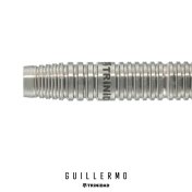 Dardos Trinidad Darts Guillermo 20.5gr 90%  - 2