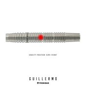 Dardos Trinidad Darts Guillermo 20.5gr 90%  - 4