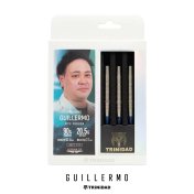 Dardos Trinidad Darts Guillermo 20.5gr 90%  - 8