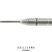 Dardos Trinidad Darts Guillermo Steel 22gr 90%  - 2