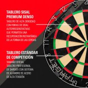 Diana Target Rift Dartboard Set  - 4