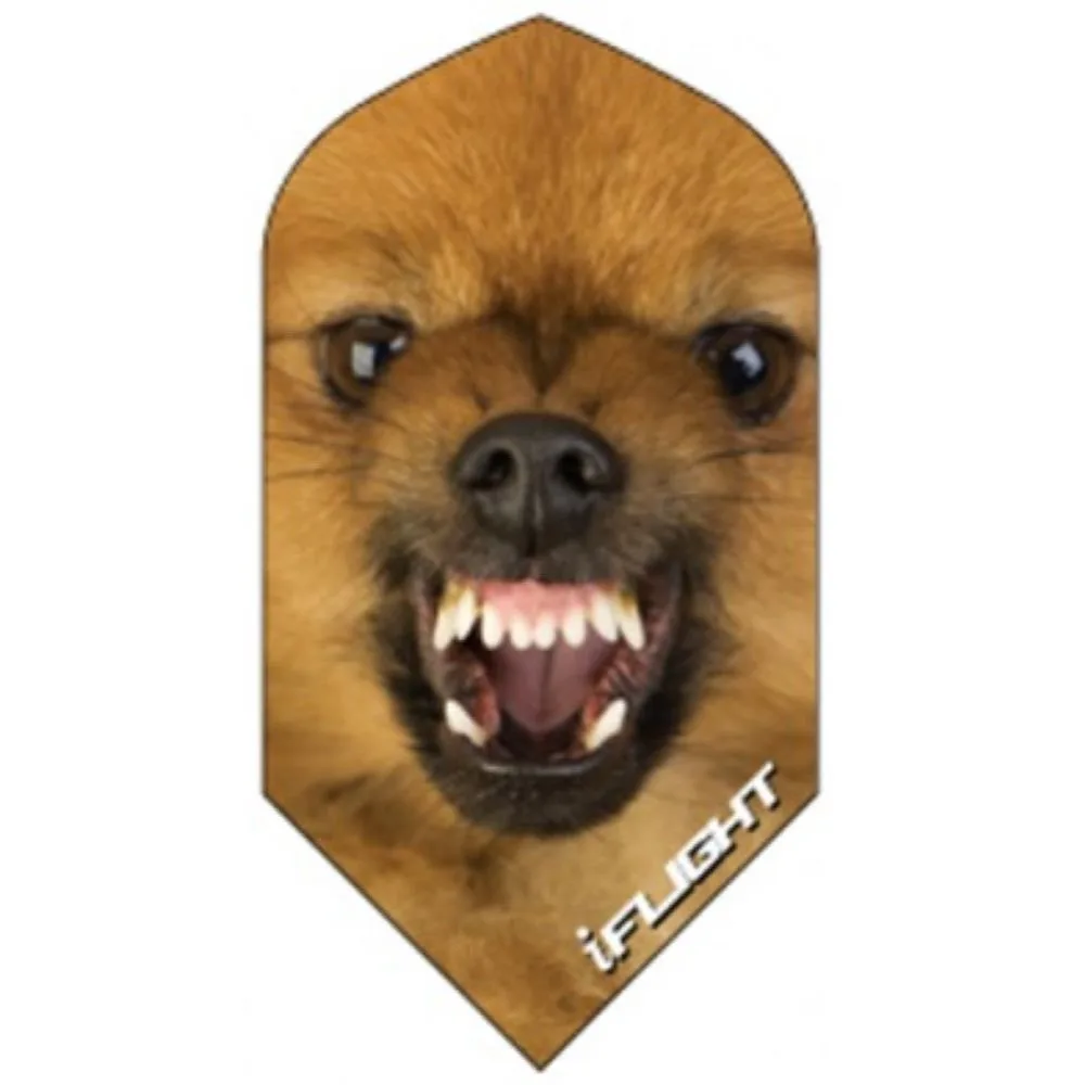 Ruthless Invincible Slim Flight Dog