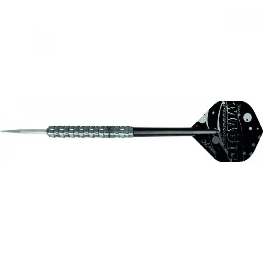 XQmax Sports Dardos Yordi Meeuwisse Magic 25g 90%