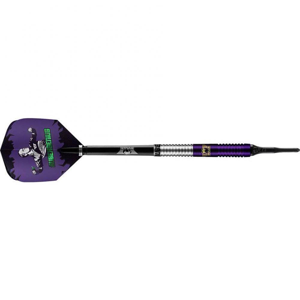  Dardos Bulls Darts Dirk van Duijvenbode Aubergenius 90% 20g  