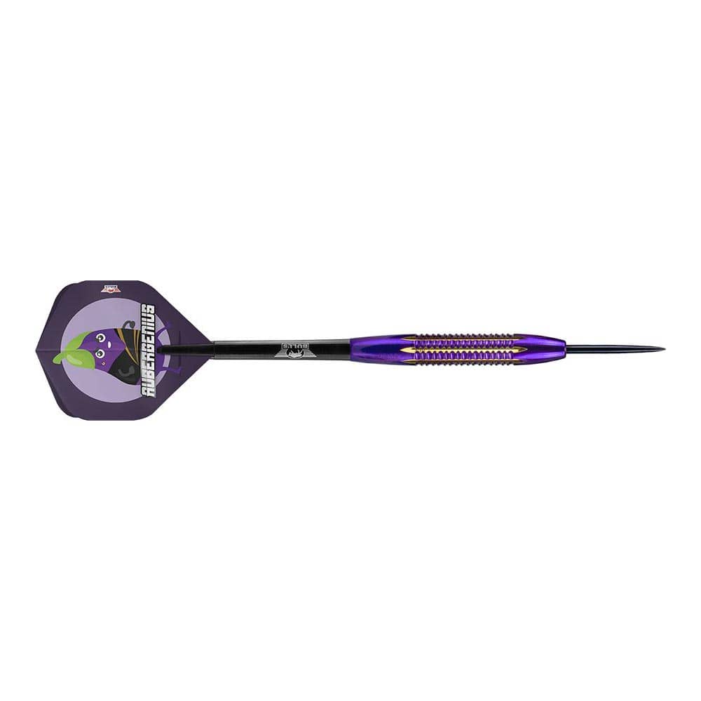  Dardos Bulls Darts Dirk van Duijvenbode Aubergenius Brass Steel 21gr 