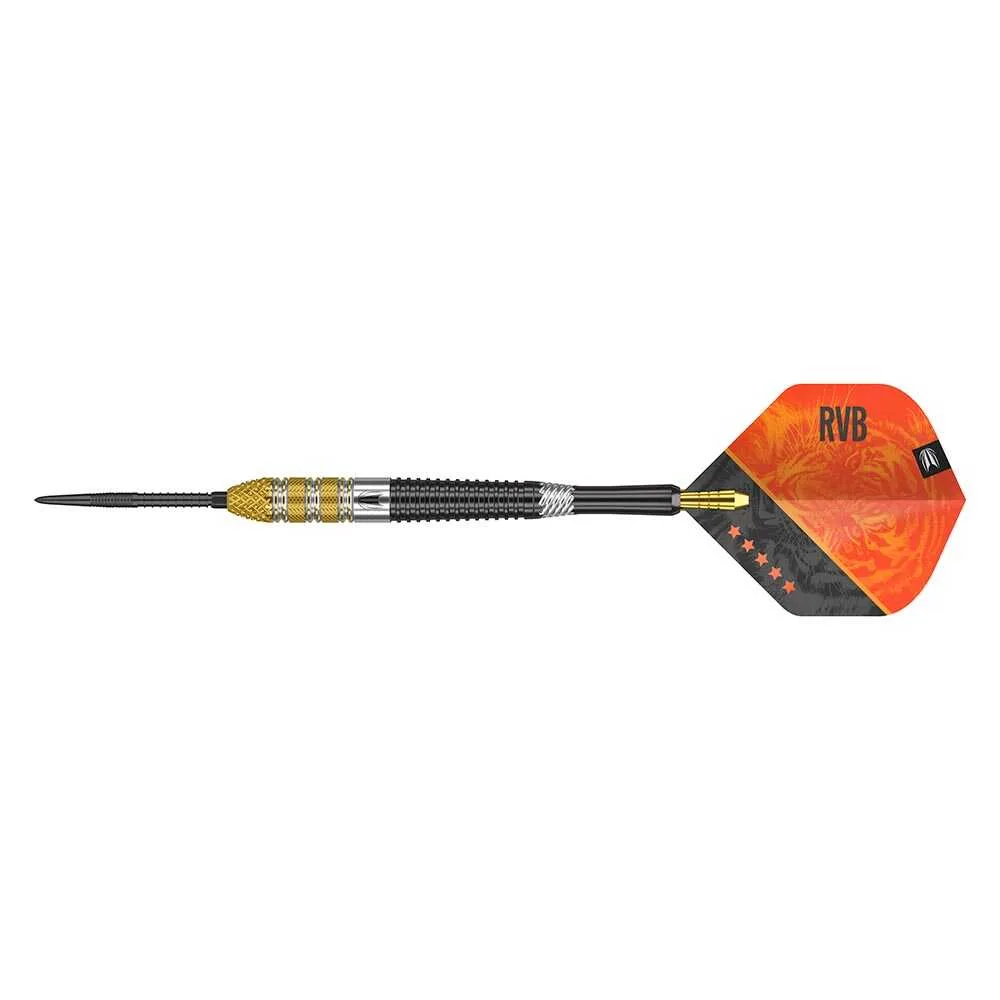 Dardos Target Raymond Van Barneveld Gen4 SP Steel 95% 21gr