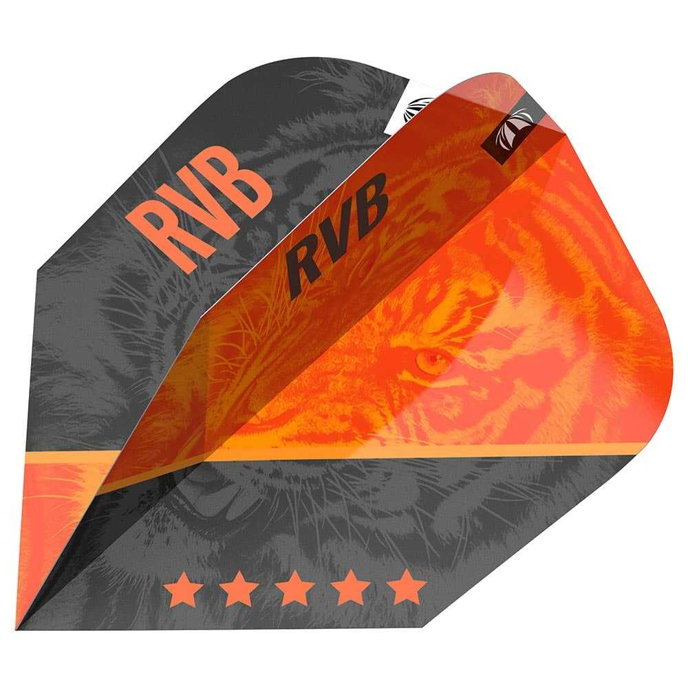 Plumas Target Raymond Van Barneveld Gen4 Pro Ultra NO6