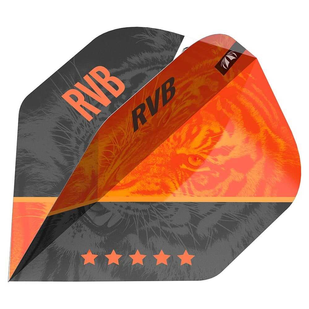 Plumas Target Raymond Van Barneveld Gen4 Pro Ultra NO2