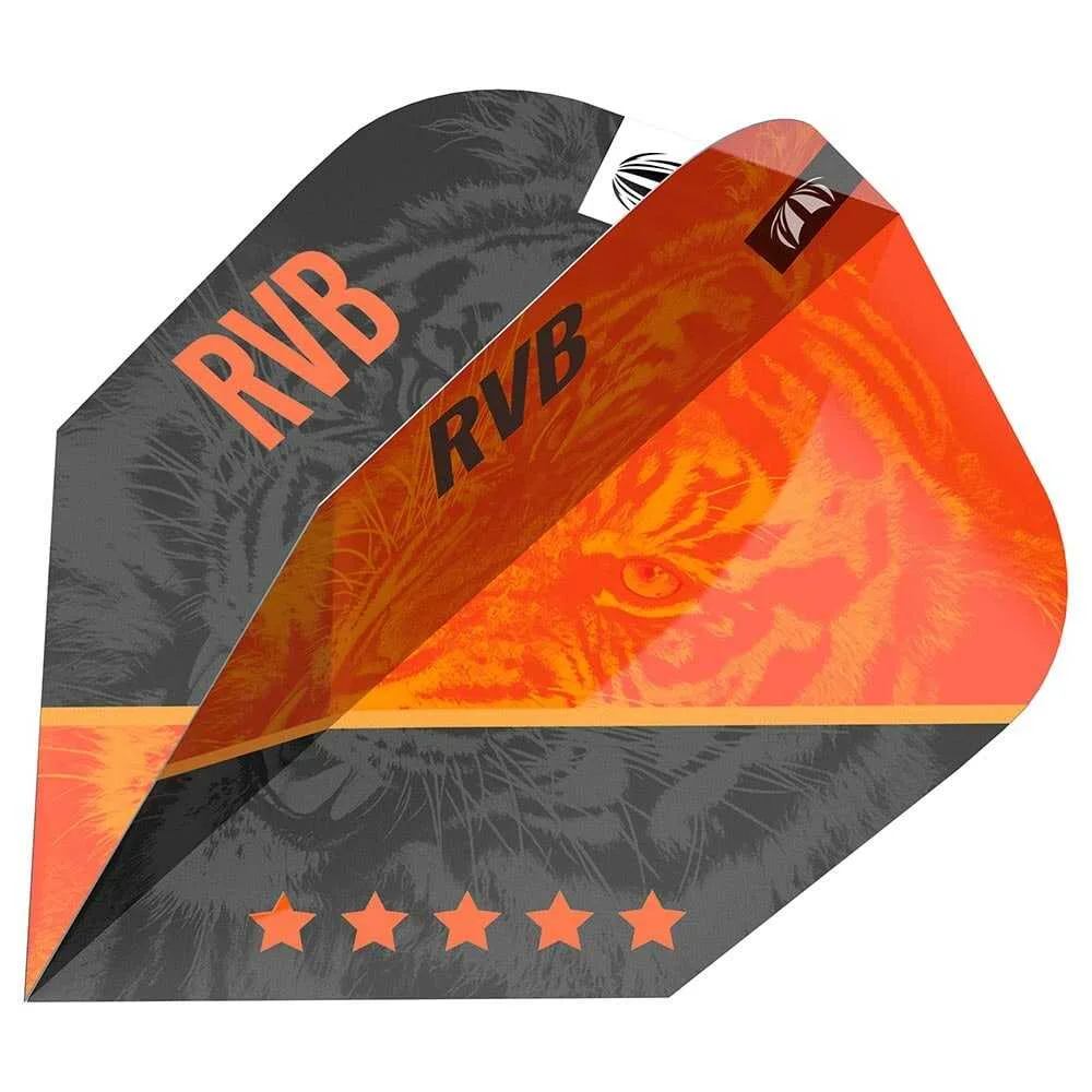 Plumas Target Raymond Van Barneveld Gen4 Pro Ultra Ten-X
