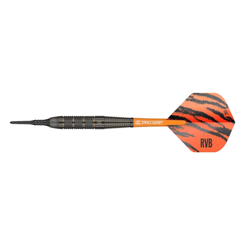 Dardos Target Raymond Van Barneveld RVB Brass 18gr