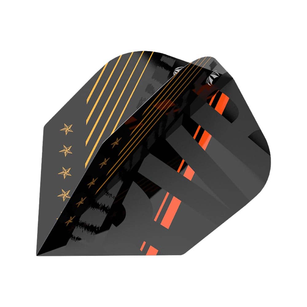 Plumas Target RVB 80% Raymond van Barneveld No.6 Shape Negro