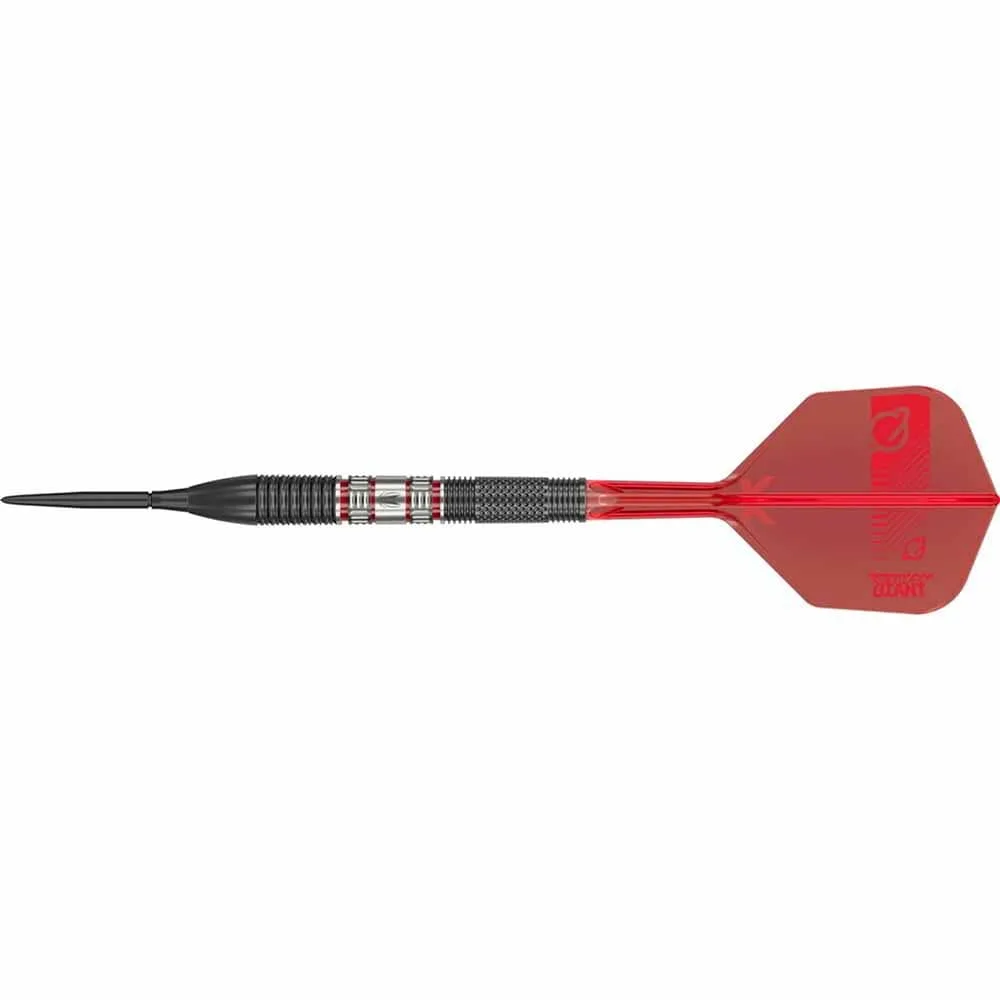 Dardos Target Gabriel Clemens 95K Swiss Point 95% 21gr