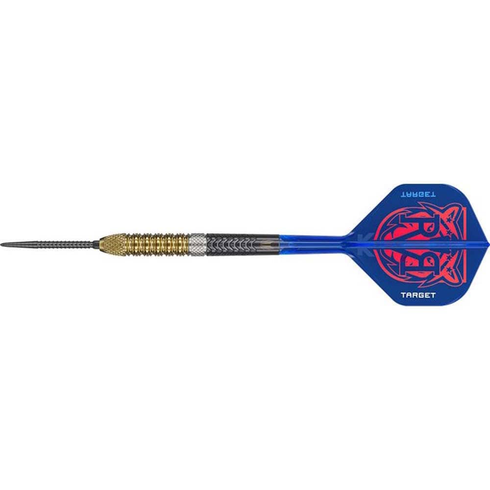 Dardos Target Raymond van Barneveld G6 SP 95% 25g