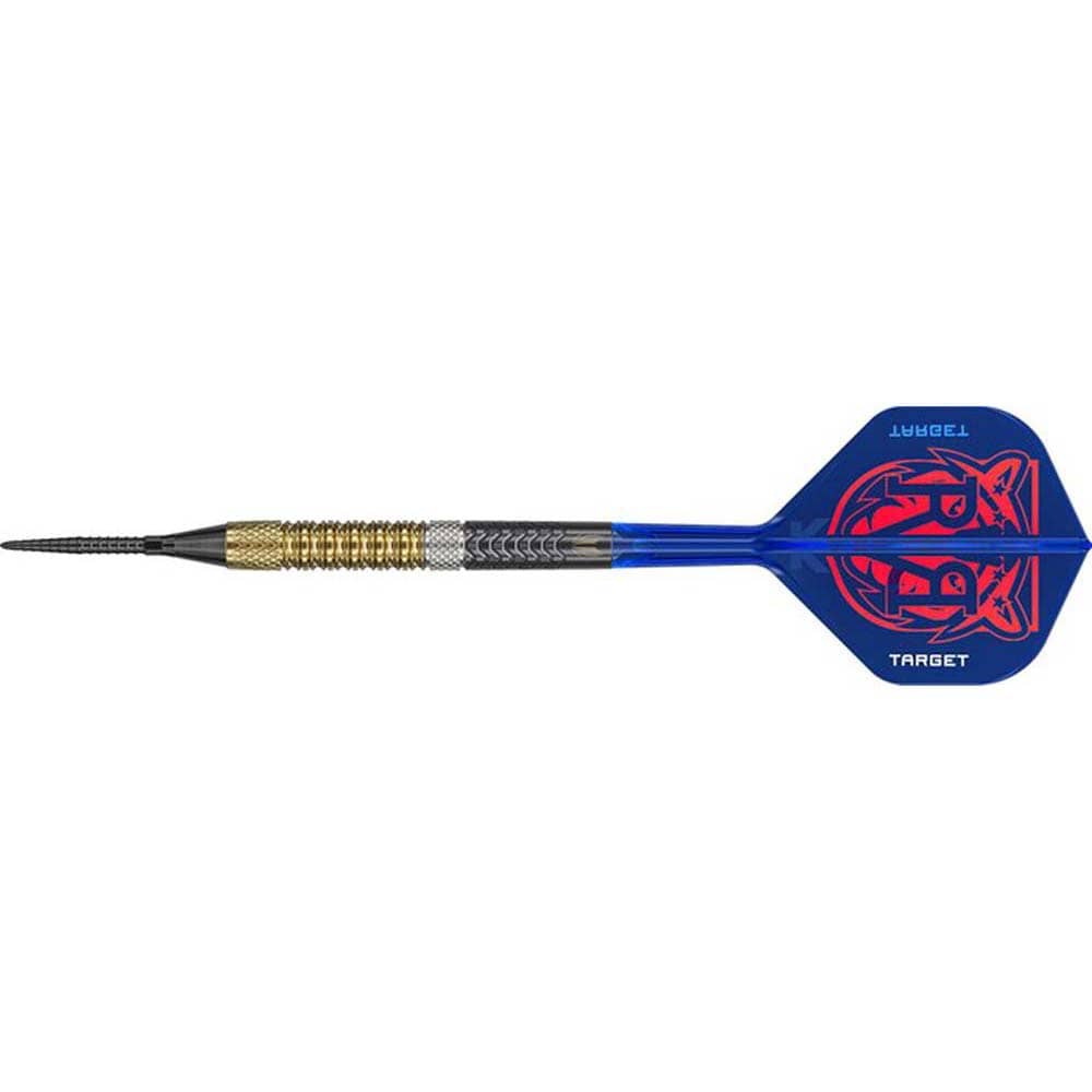 Dardos Target Raymond van Barneveld G6 95% 20g