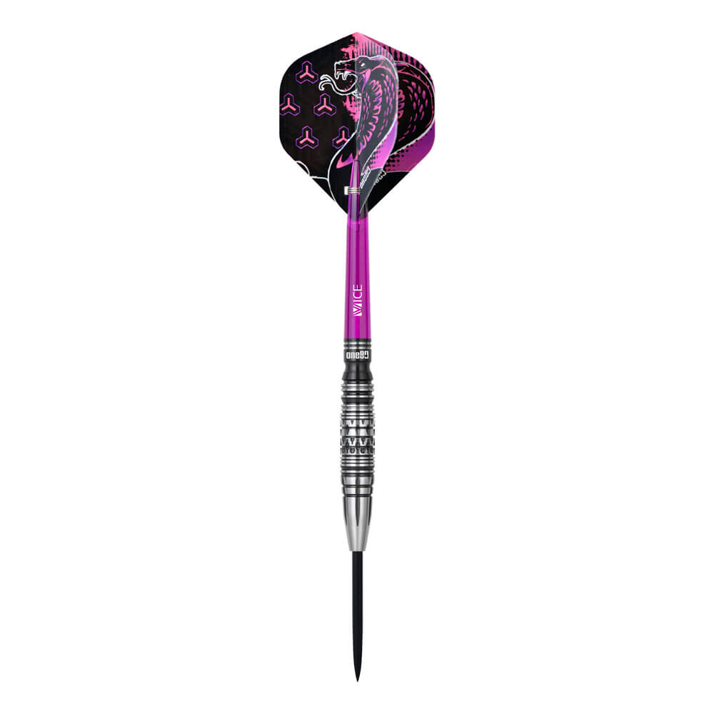Dardos One80 Jelle Klaasen V3 Softip 21g 90% 