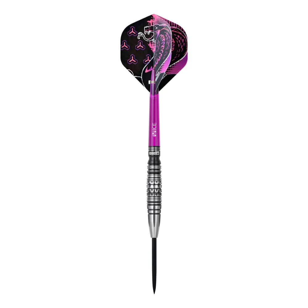 Dardos One80 Jelle Klaasen V3 Steeltip 23g 90% 