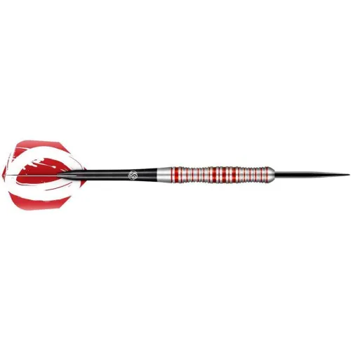Dardos Shot Zen Enso 24g 80%