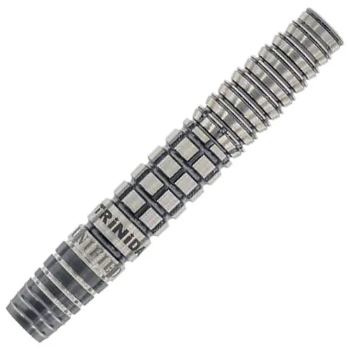 Trinidad Darts Gonzalez Type6 Teppei Nishi 21gr 90%