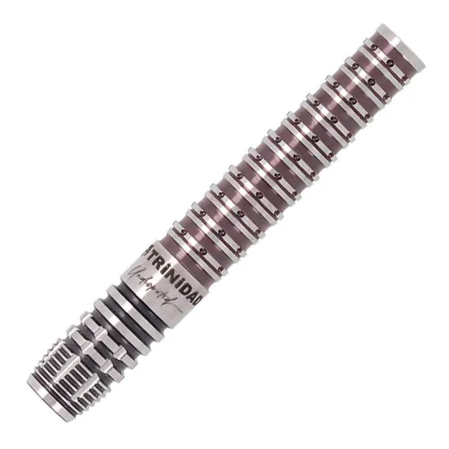 Dardos Trinidad Darts Undisputed KID Type3 Tomoya Goto 21gr 90% 